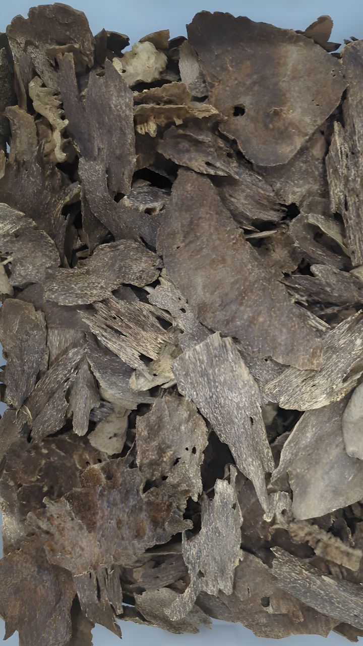 Aseel Thai Oud - Oils and Chips -10