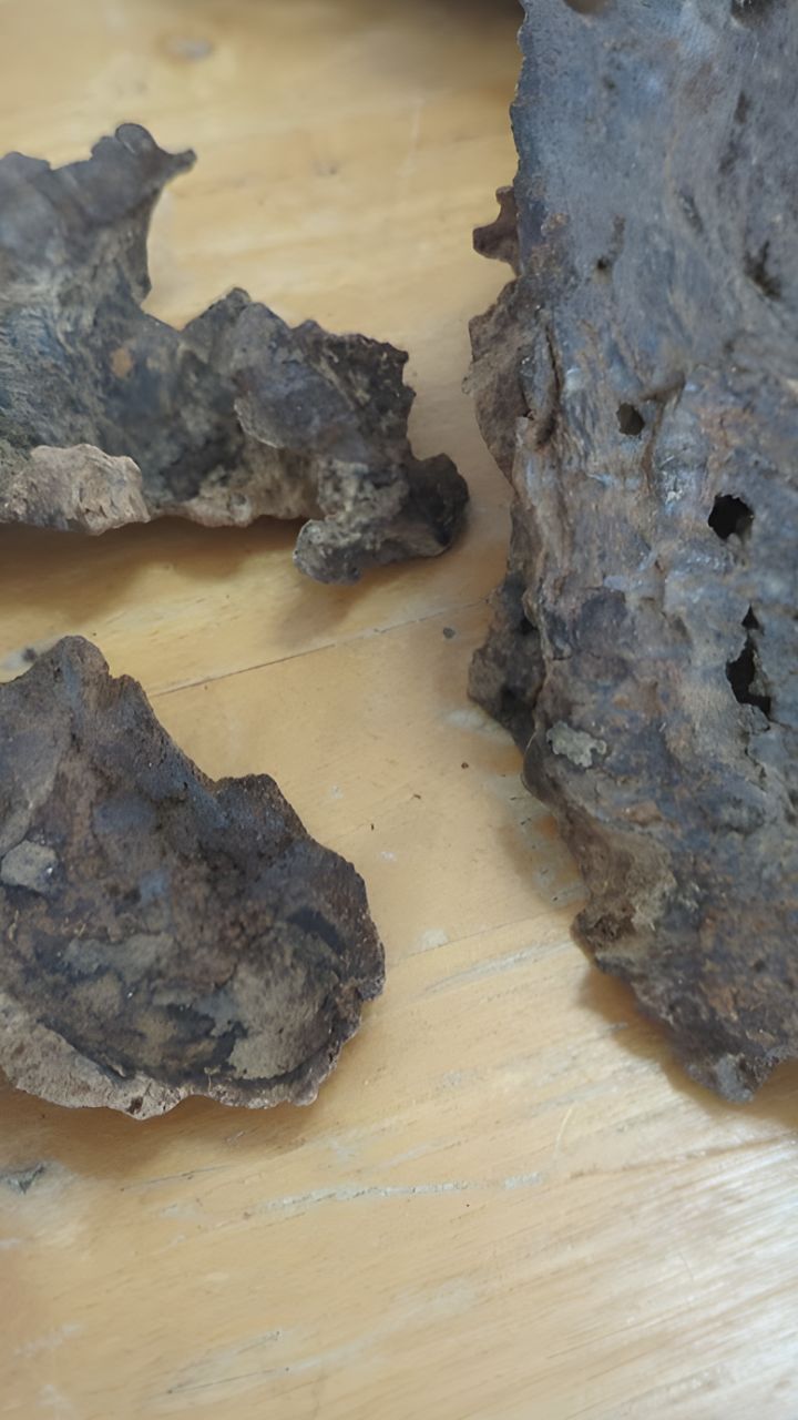 Aseel Thai Oud - Oils and Chips -4