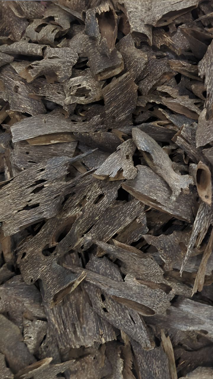 Aseel Thai Oud - Oils and Chips -8